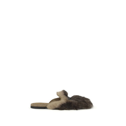 Gray Lamb Ovis Aries Aries Mules