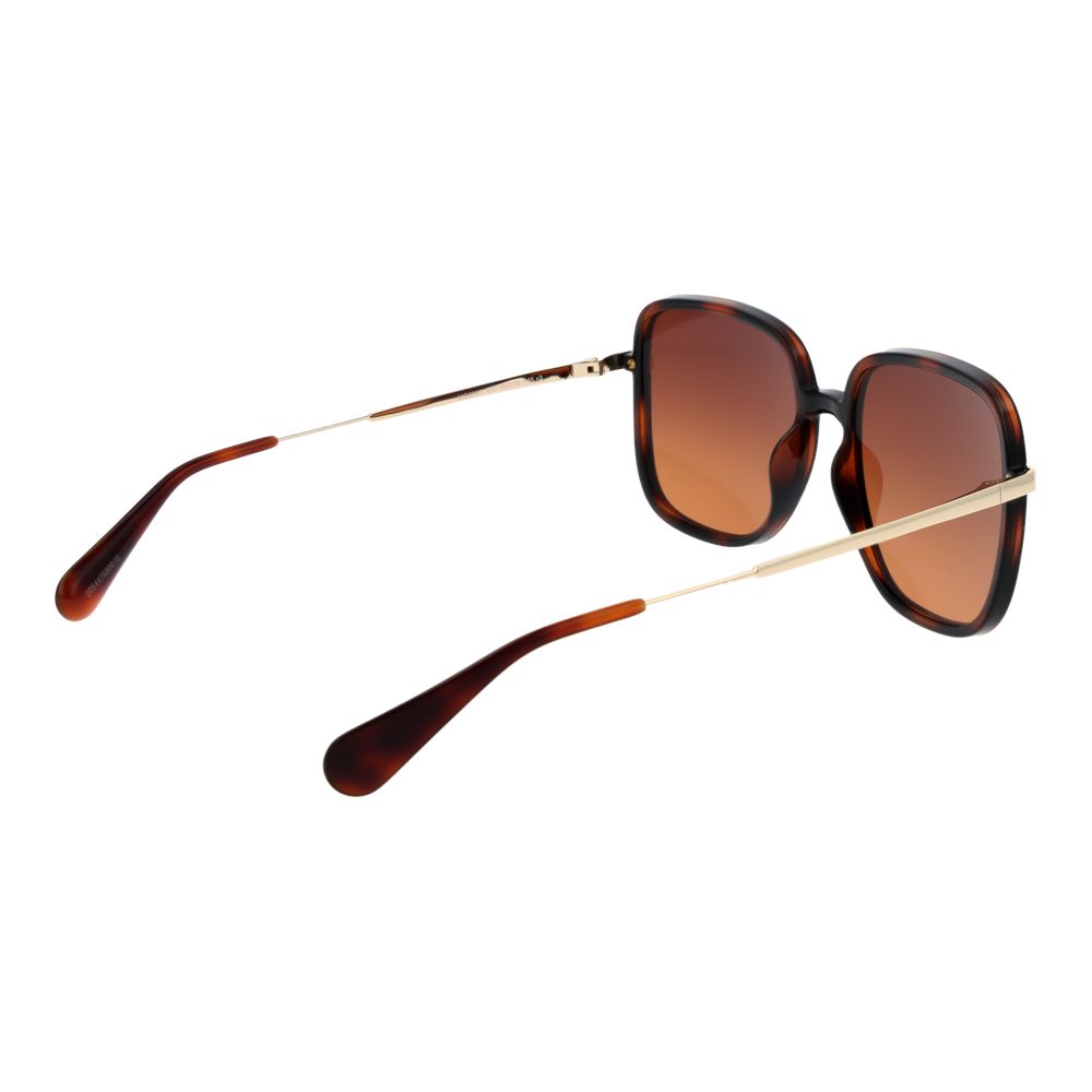 Brown Plastic Sunglasses