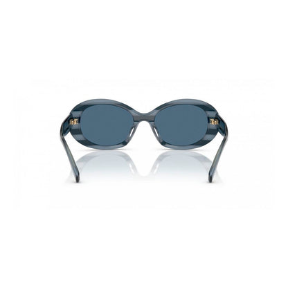 Blue Acetate Sunglasses