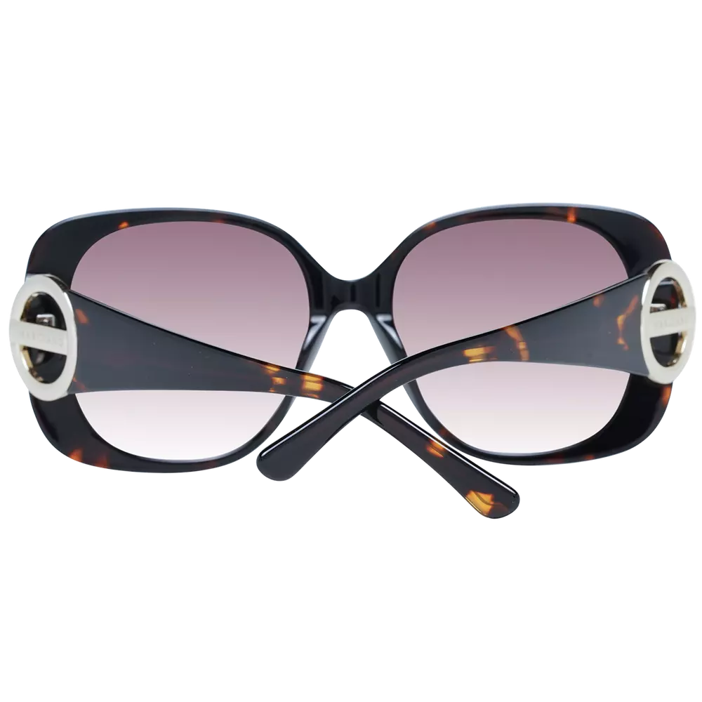 Brown Women Sunglasses