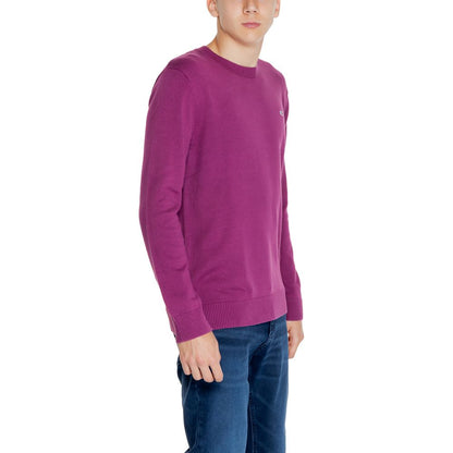 Purple Organic Cotton Sweater