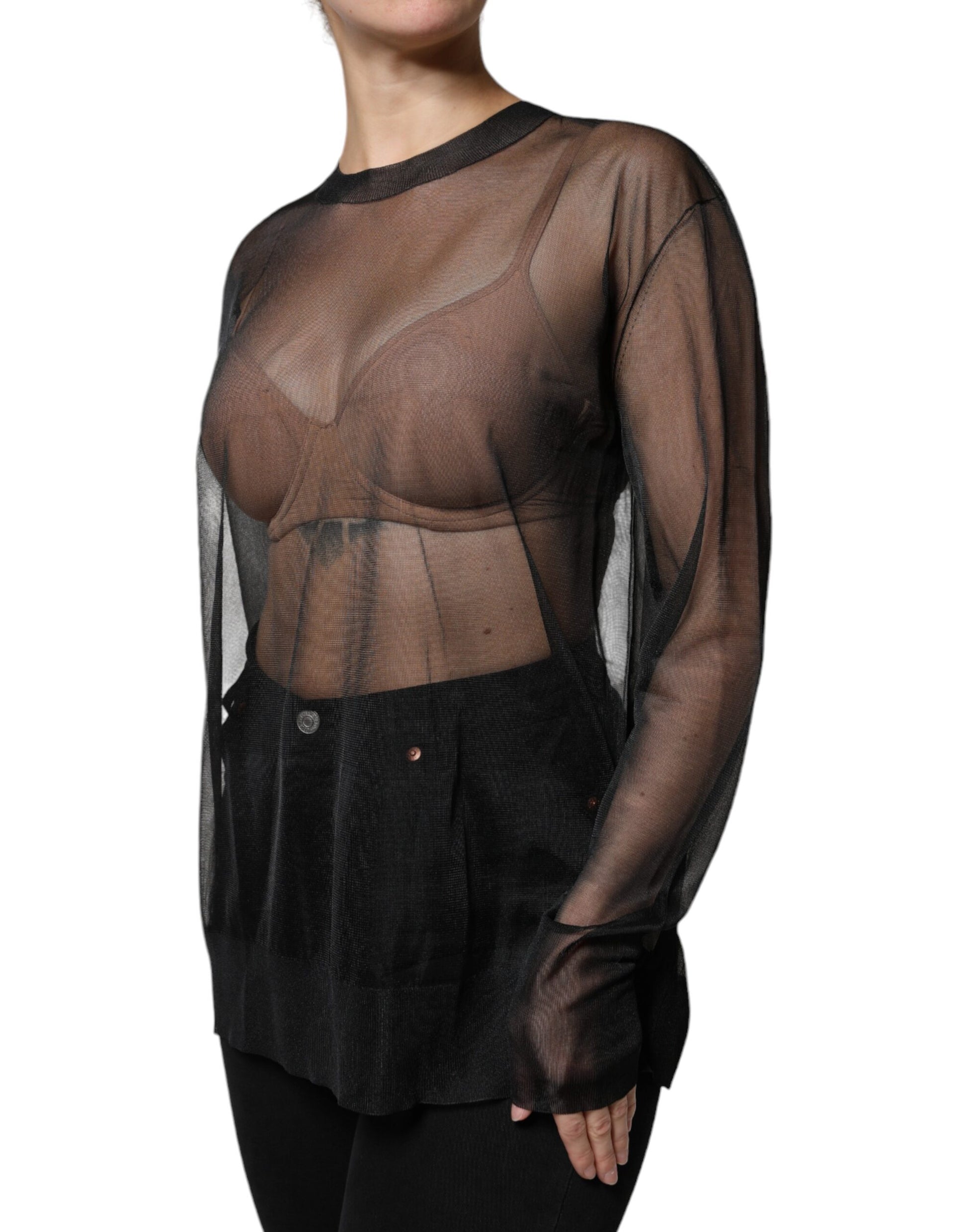 Black Sheer Long Sleeves Crewneck Blouse Top