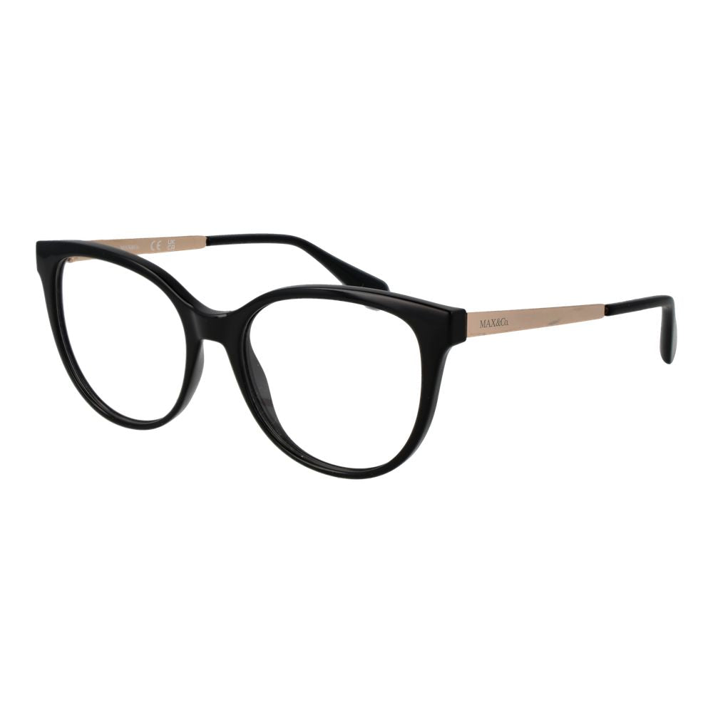 Black Plastic Glasses (Frames)
