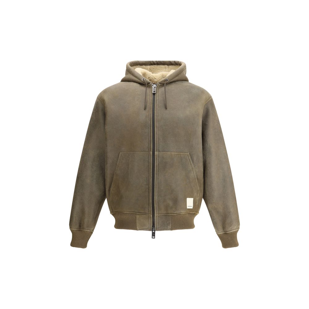 Brown Lamb Ovis Aries Aries Bomber