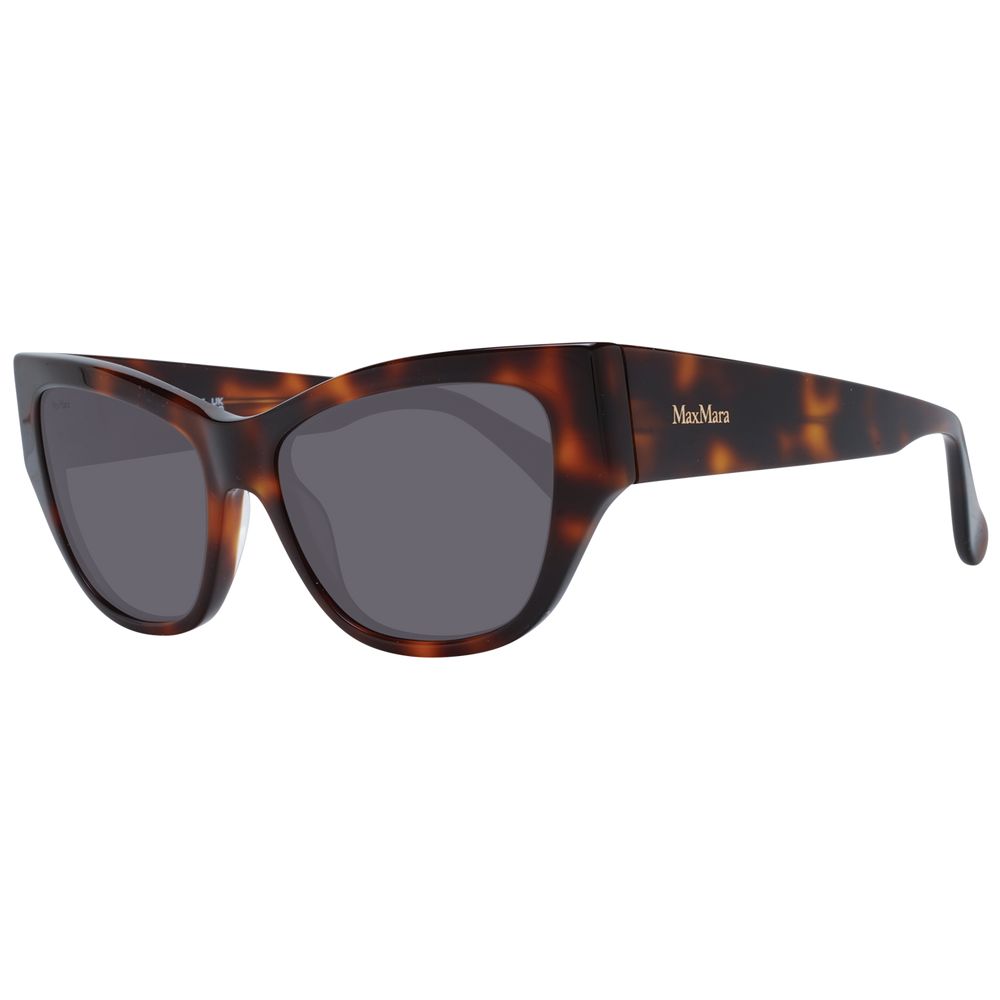 Brown Plastic Sunglasses