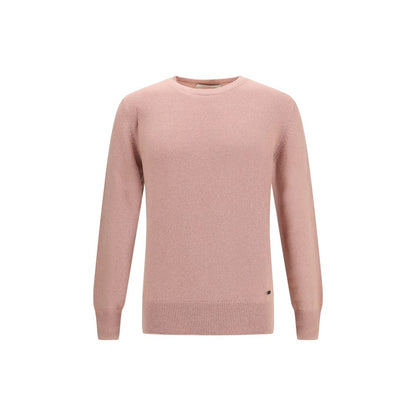 Multicolor Alpaca Vicugna Pacos Sweatshirt
