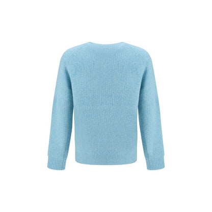 Light Blue Alpaca Vicugna Pacos Sweatshirt